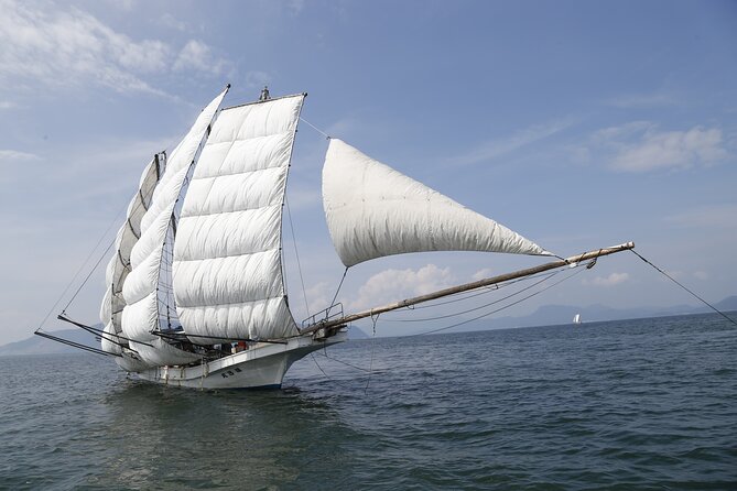 Private Traditional Fishing in Ashikita-machi on Utase Boat - Cancellation Policy and Traveler Requirements