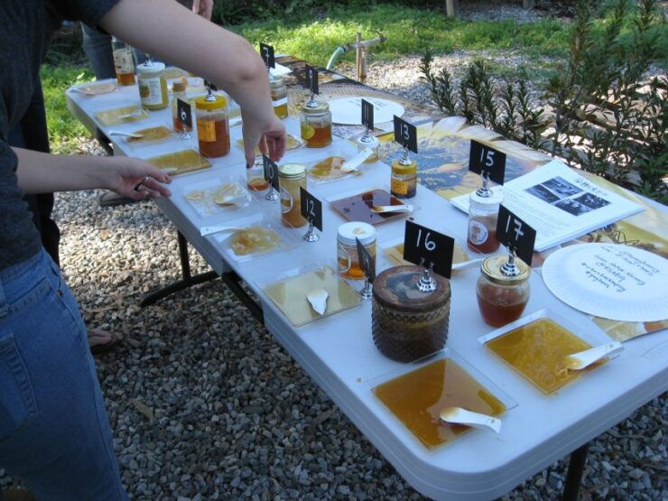 Private Traditional Kefalonian Cooking Class Experience - Good To Know