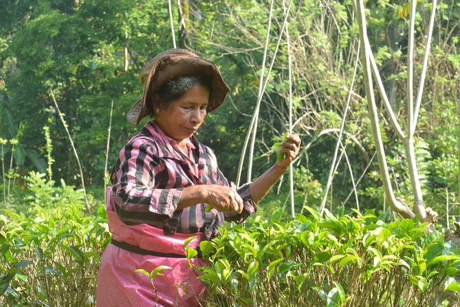 Private Traditional Sri Lankan Village Food Trail - Immersive Cultural Food Exploration