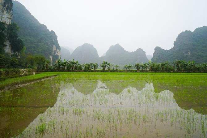 Private Trang an Ecotourism & Dancing Cave Together Countryside Biking - Common Questions