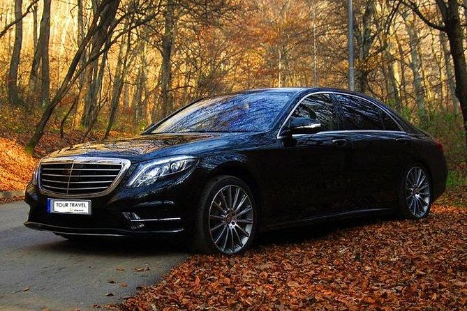 Private Transfer 1 Day Round Trip to Disney - Exclusive Private Tour/Activity