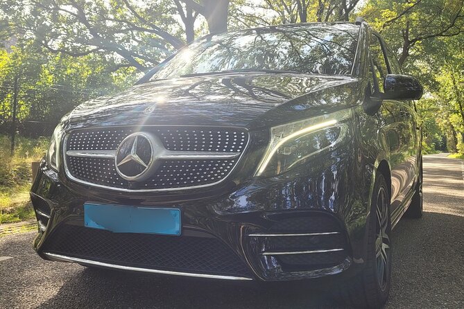 Private Transfer: Amsterdam Schiphol Airport - Additional Information and Policies