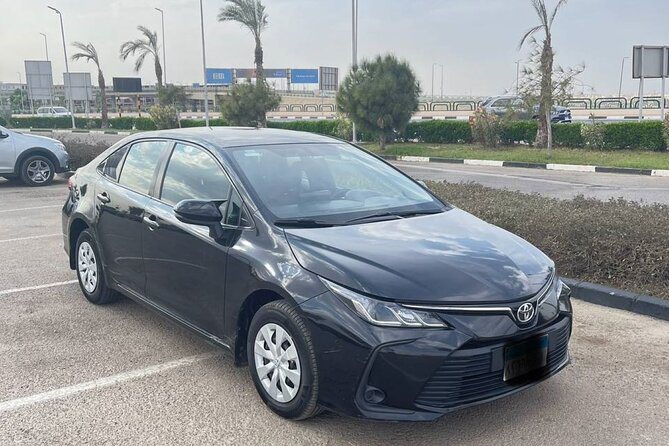 Private Transfer Around Cairo - Expectations and Requirements