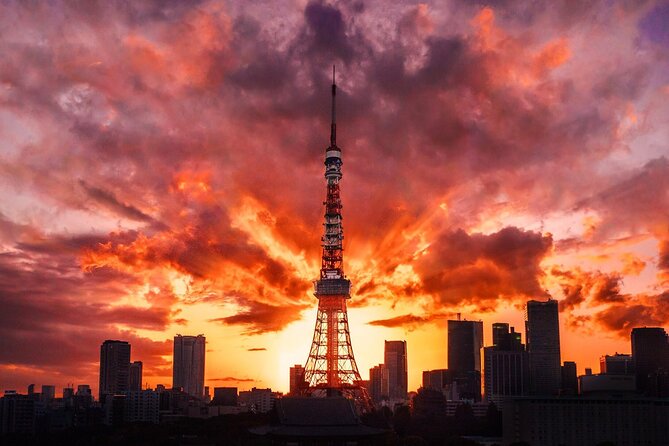 Private Transfer Arrival Narita Airport NRT to Tokyo City - Terms & Conditions