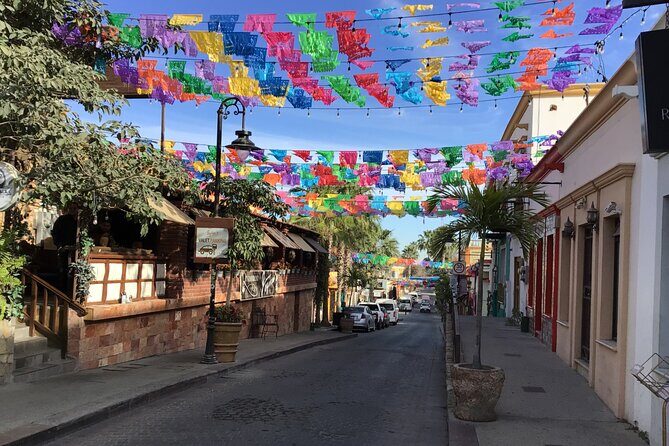 Private transfer at VAN Airport Los Cabos - San Jose del Cabo - The Vehicle and Amenities