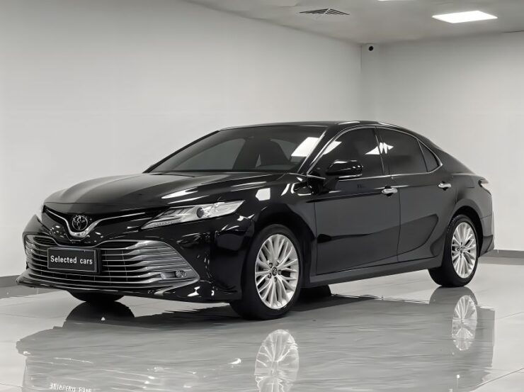 Private Transfer: Between Downtown Paris and Disney - Inclusions and Optional Services