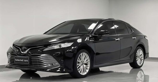 Private Transfer: Between Downtown Paris and Disney - Transfer Service Information