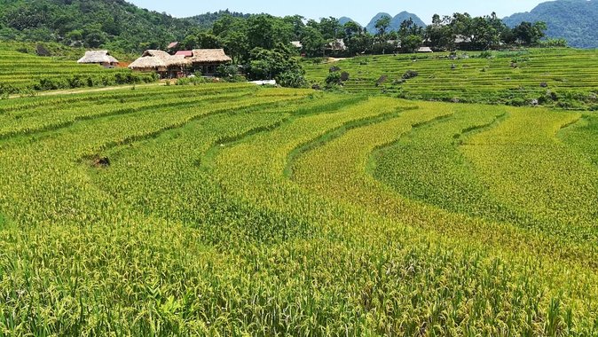 Private Transfer Between Hanoi and Puluong Nature Reserve - Meeting and Pickup Details