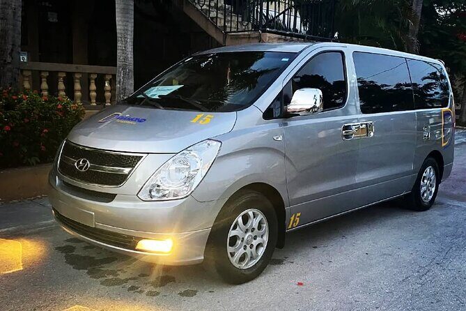 Private transfer between Punta Cana airport and Riu hotel - Breakdown of the Service: Everything You Need to Know