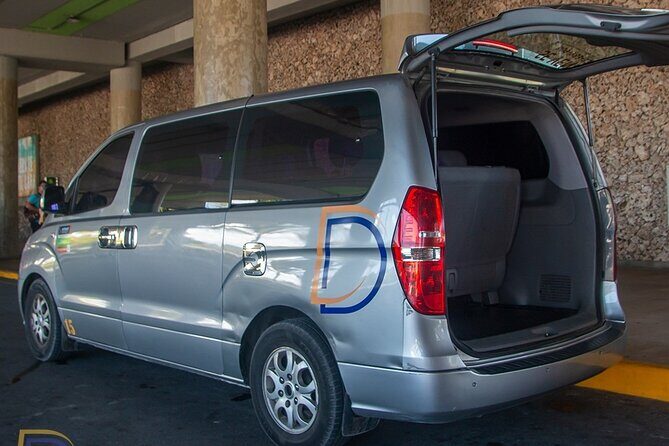 Private transfer between Punta Cana airport and Riu hotel - Who Is This Transfer Best For?