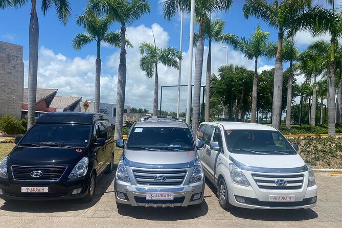 Private Transfer Between Punta Cana and Bavaro - Practical Tips for Using This Transfer