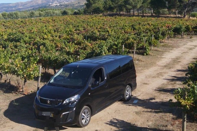 Private Transfer by Minivan - Benefits of Private Transfer