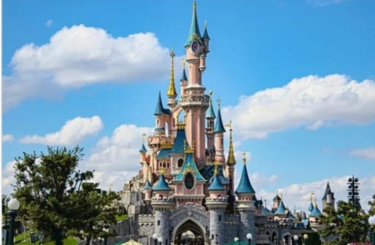 Private Transfer CDG and Orly Airports To/From Disneyland - Benefits of the Private Transfer