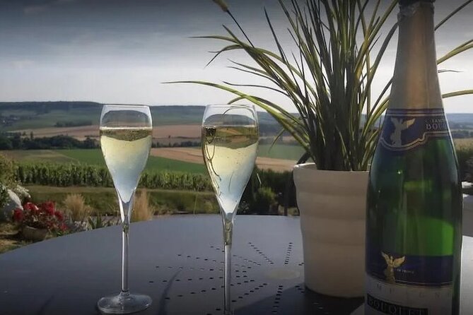 Private Transfer: Champagne or Reims to Paris Airport CDG in Van - Pricing and Booking Details