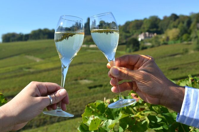 Private Transfer: Champagne or Reims to Paris Airport CDG in Van - Cancellation Policy