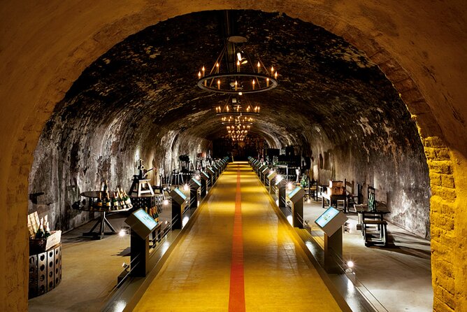 Private Transfer: Champagne or Reims to Paris Airport CDG in Van - Reviews and Ratings
