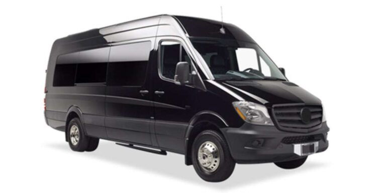 Private Transfer Civitavecchia To/From Rome Van (8 Guests) - Service Details