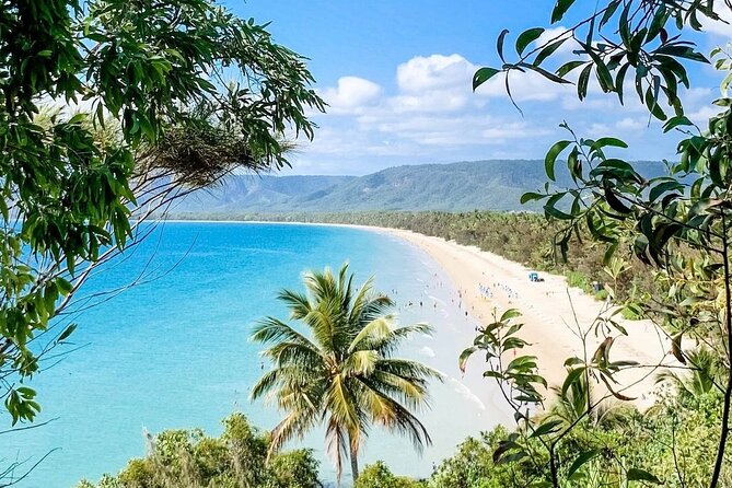 Private Transfer - CNS Airport to Port Douglas(via Mulligan Hwy) - The Sum Up