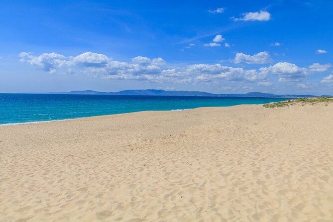 Private Transfer: Comporta and Troia - Pricing and Booking Options