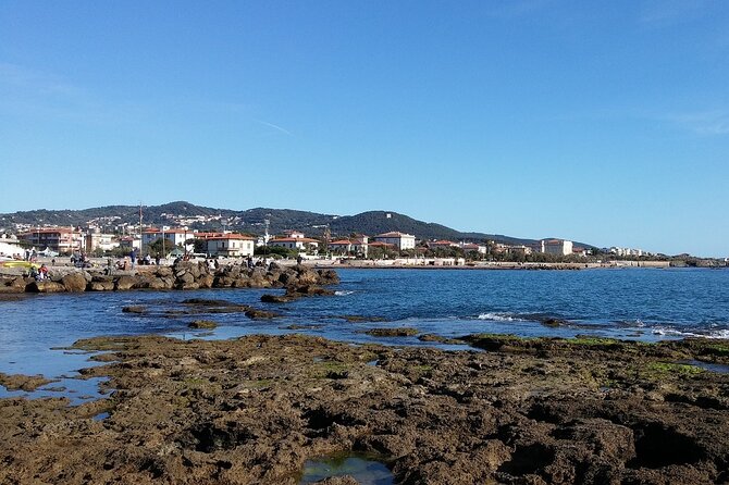 Private Transfer Direct From Florence To Livorno - Good To Know