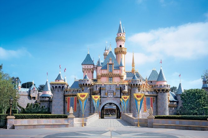 Private Transfer: Disneyland Park or Hotel to Paris in Luxury Van - Luxurious Mercedes-Benz Vehicle for Private Transfer