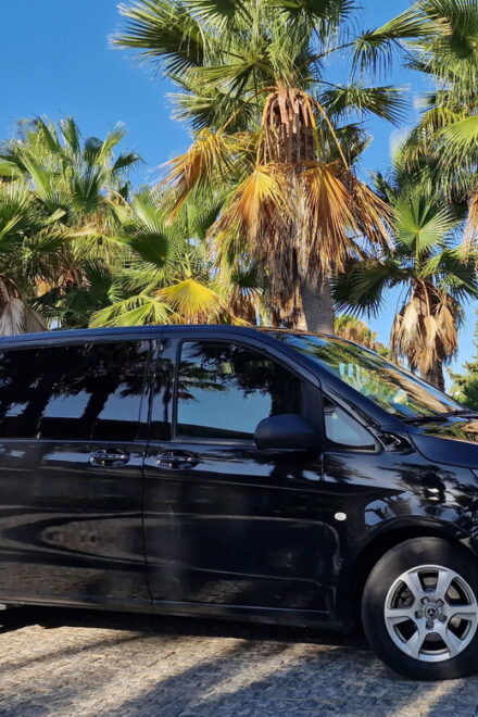 Private Transfer: Faro/Lagos to Tarifa/Gibraltar - Sightseeing Stops and Activities
