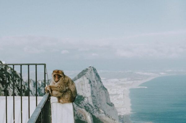 Private Transfer: Faro/Lagos to Tarifa/Gibraltar - Frequently Asked Questions