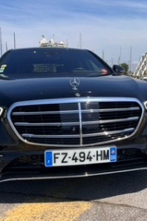 Private Transfer From Aigues-Mortes to Montpellier Airport - Service Details
