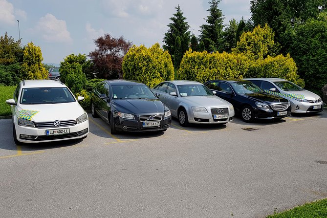 Private Transfer From Airport Ljubljana to Celje - Good To Know