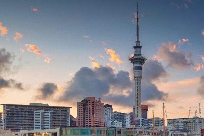 Private Transfer From Airport to & From CBD in Minivan - Inclusions and Amenities