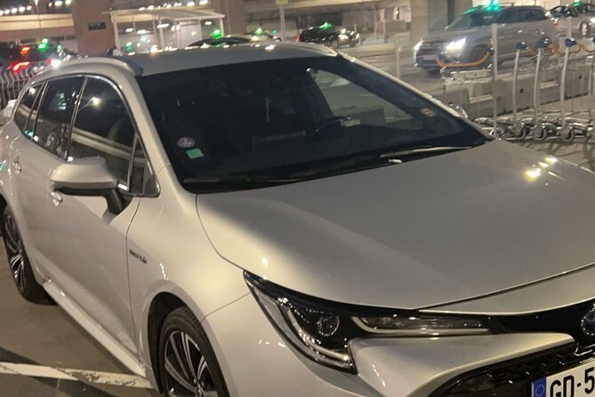 Private Transfer From Airports to Paris - Accessibility Information