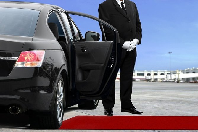 Private Transfer From Amsterdam Airport Schiphol to the Hague - Meeting and Pickup