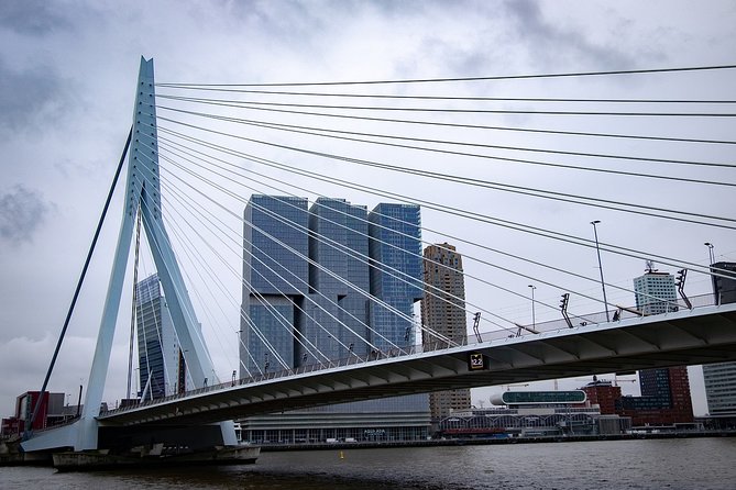 Private Transfer From Amsterdam to Rotterdam - What To Expect