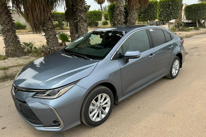 Private Transfer From Aswan to Abu Simbel and Back to Aswan - Frequently Asked Questions