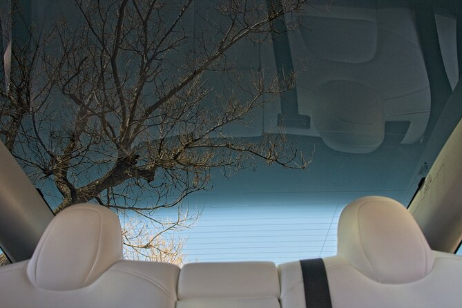 Private Transfer From Athens City to Athens Airport With Tesla - Questions and Additional Information