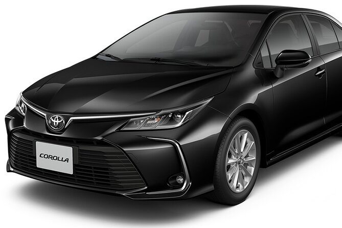 Private Transfer From Atocha Station to Madrid City Center - Pickup Information