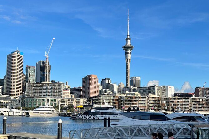 Private Transfer From Auckland Airport Oaks To Auckland City - Final Thoughts