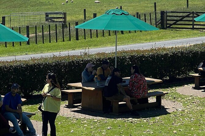 Private Transfer From Auckland Airport To Matamata - Duration and Route: A Clear, Straightforward Journey