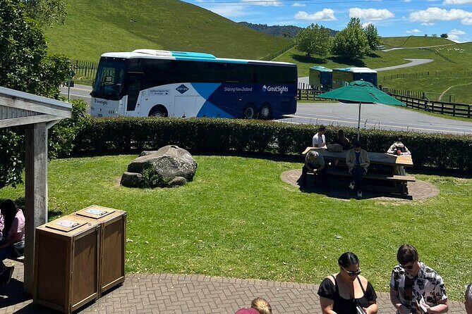 Private Transfer From Auckland Airport To Matamata - Pricing and Value