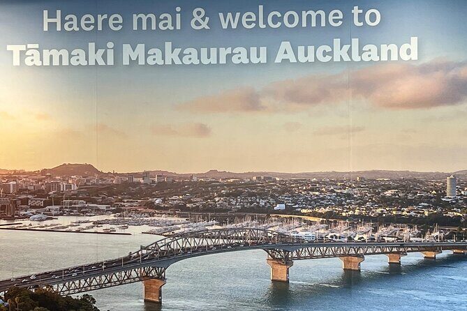 Private Transfer From Auckland Airport To Omaha And Snells Beach - The Overview: What Makes This Transfer Stand Out