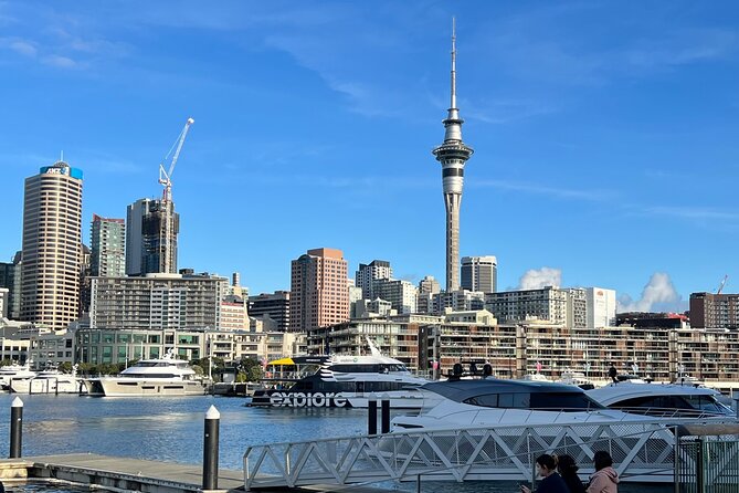 Private Transfer From Auckland Airport To Takapuna - Reliable and Punctual Service