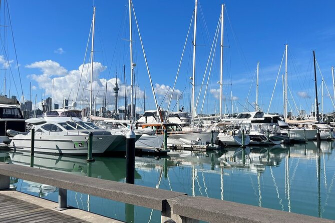 Private Transfer From Auckland Airport To Takapuna - Common Questions