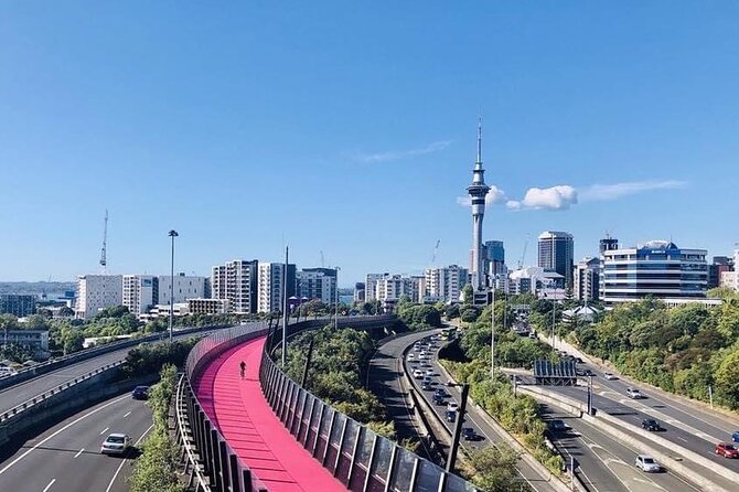 Private Transfer From Auckland Airport To Thames - The Sum Up