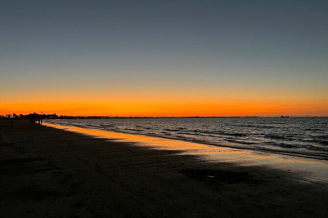 Private Transfer From Auckland CBD Hotels To Cruise Ship - Who Should Book This Transfer?