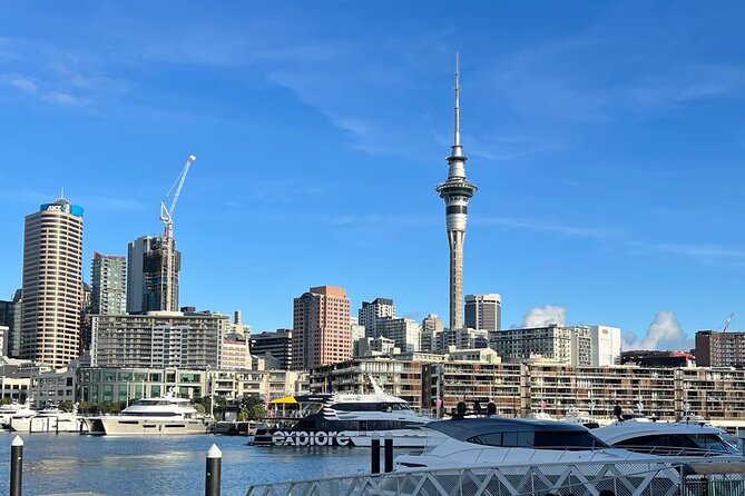 Private Transfer From Auckland City To Auckland Airport - The Sum Up