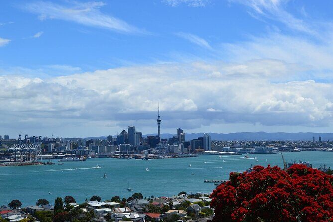 Private Transfer From Auckland City To Auckland Airport Oaks - Overview of the Private Transfer Service
