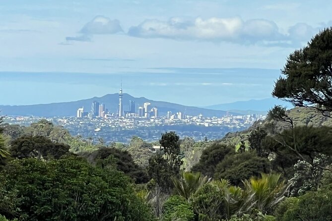 Private Transfer From Auckland International Airport To Auckland City - The Sum Up