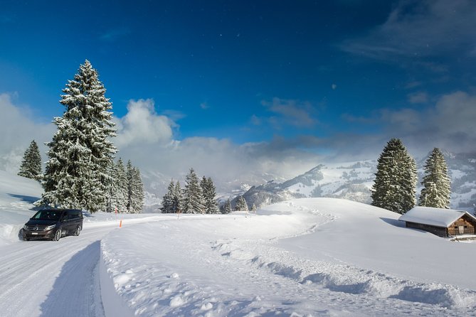 Private Transfer From Bad-Ragaz to Zurich Airport - Duration and Convenience