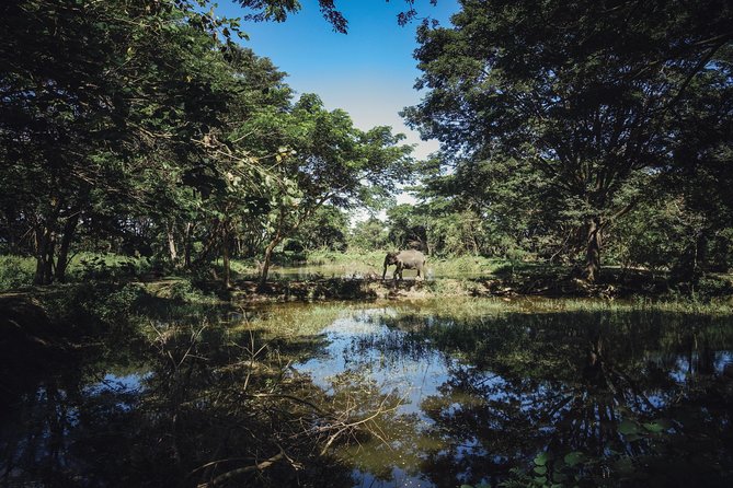 Private Transfer From Bangkok to Chiang Rai With 2h of Sightseeing - Benefits of Private Transfer for Sightseeing