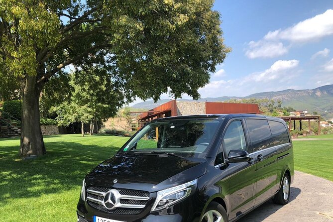 Private Transfer From Barcelona City to the Port (Or Vice Versa) - Additional Information and Operator Details